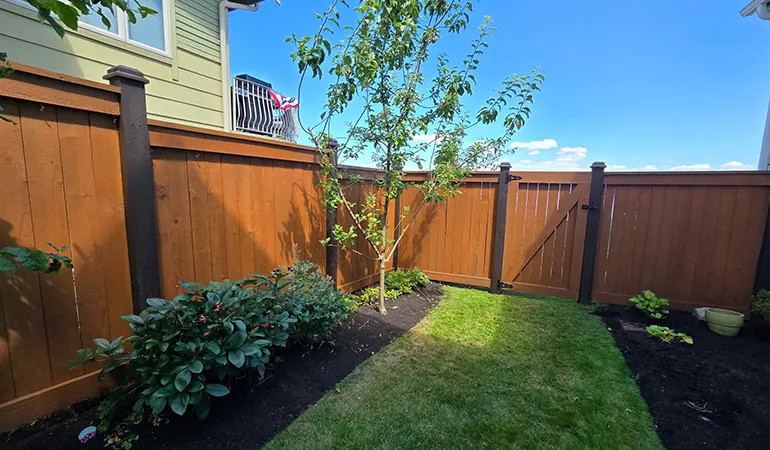 fence_painting